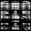 Galerie de l'Evolution, Paris 2024