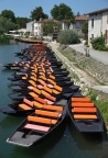 Coulon