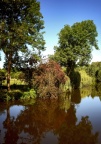 Parthenay 2025