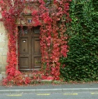 24 Photographies des murs ou la beauté de l'éphémère