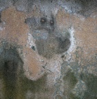 Le Baiser néandertalien