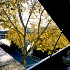 Photos récentes de Paris