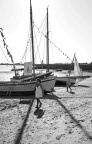 a DSC03484 nb6 mmm