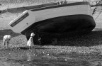 a DSC03645 nb2 mmm