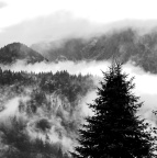 Les Houches aout 26