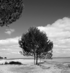 Éphéméride